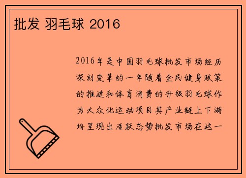 批发 羽毛球 2016
